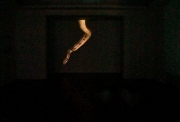 Le Serpent, 2009 Exemplaire 1/3 Installation vidéo Dimensions variables Muet, couleur, format 4/3 Image horizontale