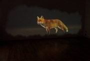 Le renard, 2012, galerie Claire Gastaud, Festival vidéoformes 2013