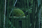 Nils-Udo, Bamboo House, 1987, Portugal