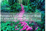 Summer Break 2018