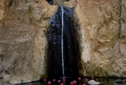 Nils-Udo, Barranco del Infernio, Teneriffa, 1999, photographie, 125 x 125 cm