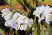 White tulips, 2017, huile sur toile, 162 x 130 cm