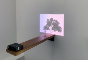 Samuel Rousseau, sans titre (arbre et son ombre), 2008, Branche, planche, projection vidéo, 23 x 19 x 93 cm
