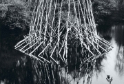Nils-Udo, Maion d'eau, bouleaux, épiceas, osiers, ALLEMAGNE 1980 PIGMENT PRINT 98 X 125 cm  , courtesy Nils-Udo - Galerie Claire Gastaud