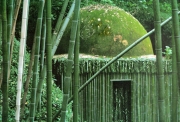 Nils-Udo, Bamboo House, 1987, Portugal, photographie, 100 x 100 cm