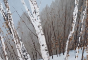 Hilary Dymond, sans titre, Winter Paths, 2014, huile sur toile, 200x200cm