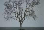 Samuel Rousseau, « Sans titre (l’Arbre et son ombre) », 2008 projection HD et modélisation 3D , 13‘ en boucle, Unique