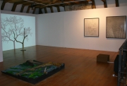 L'arbre, le bois, la forêt, Centre d'art contemporain Meymac, 2015, Samuel Rousseau, l'arbre et son ombre