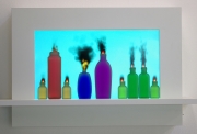 Samuel ROUSSEAU « Paysage domestique » 2013 Bois, métal, écran vidéo, flacon, plexiglas 38 x 62 x 13 cm  Pièce unique