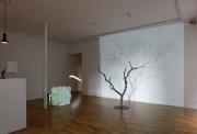 Samuel ROUSSEAU, Sans titre l'arbre et son ombre, 2008,branches d'arbre et videoprojection complet