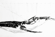 Delphine Gigoux-Martin, Baleine, 2023, fusain sur papier