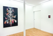 Milene Sanchez, Par eclair, par eclat, vue d'exposition, galerie Claire Gastaud, Clermont-Ferrand, 2022