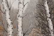 Hilary Dymond, sans titre, Winter Paths, 2014, huile sur toile, 100x100cm