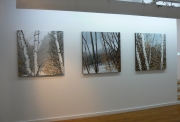 Hilary Dymond, Winter Paths, vues de l'exposition.