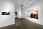 Galerie Claire Gastaud | Paris, vue de l'exposition Vision rapide vision appuyée de Milène Sanchez, 2023